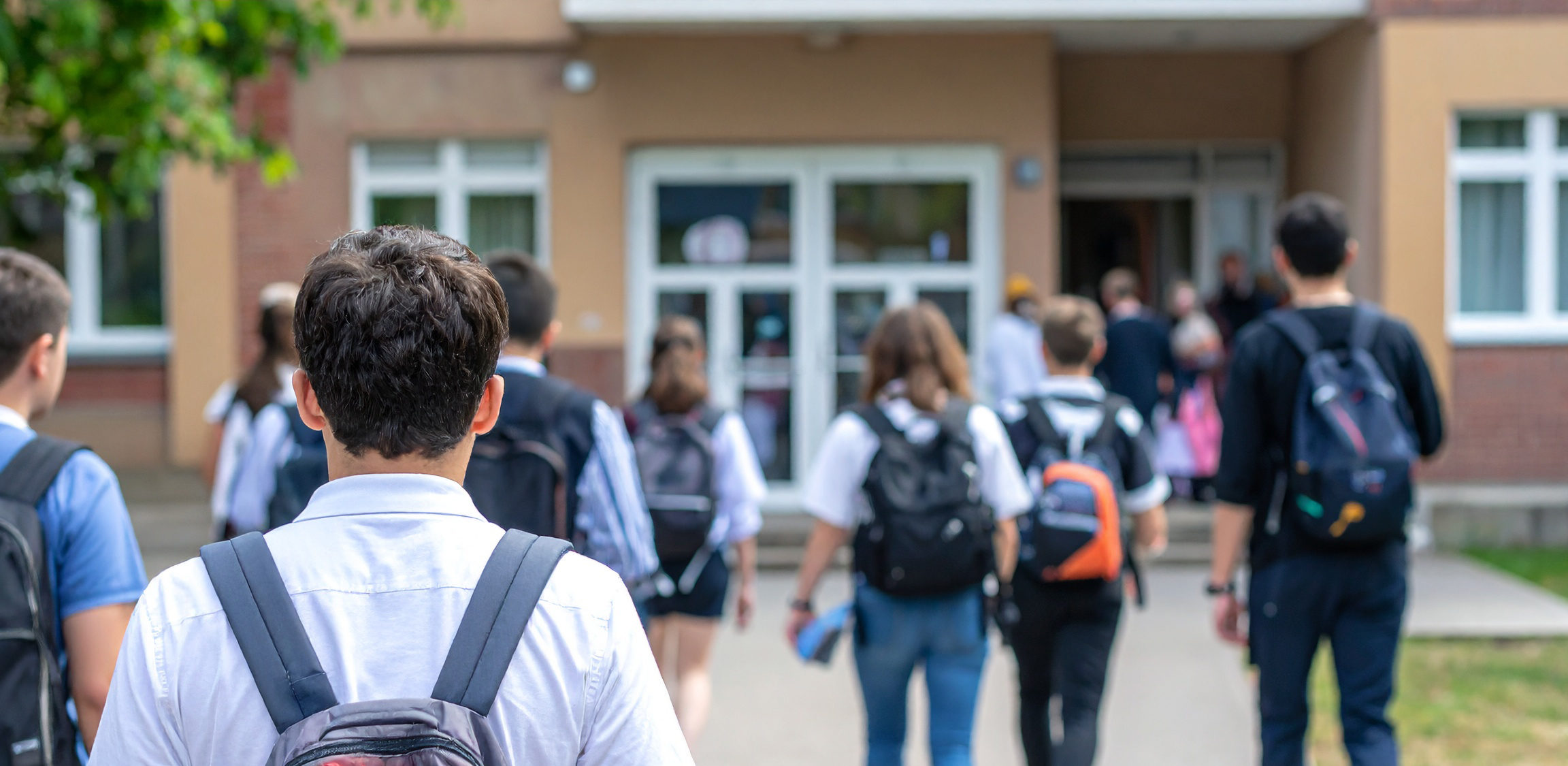 Mehrere Schülerinnen und Schülern auf dem Weg ins Schulgebäude. Sie sind von hinten zu sehen.