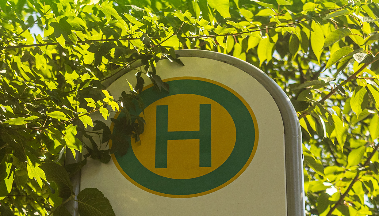 Haltestellenschild im Grünen